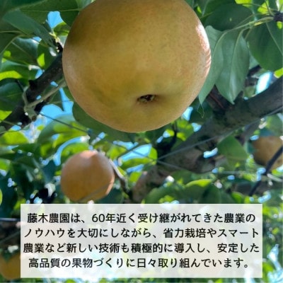 南水 3kg箱