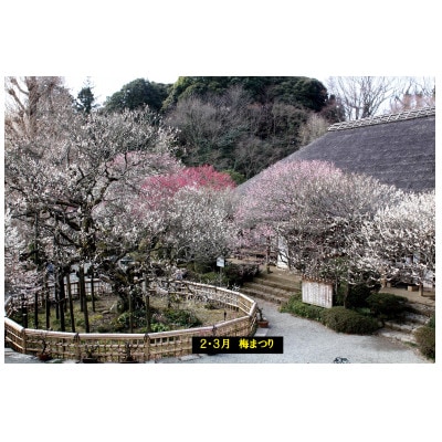 京王百草園年間パスポート　1枚