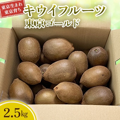 キウイフルーツ東京ゴールド　2.5k満杯詰め(22個前後)