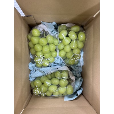 シャインマスカット約2kg箱詰め