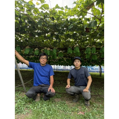 シャインマスカット約2kg箱詰め