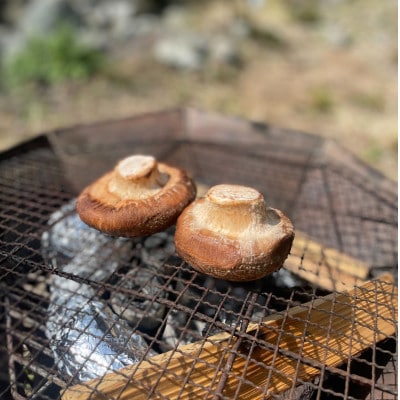 日野プレミアム てんけいこ 桐箱3個入