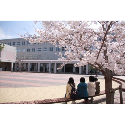 【返礼品なし】大学支援事業(実践女子大学) 30,000円