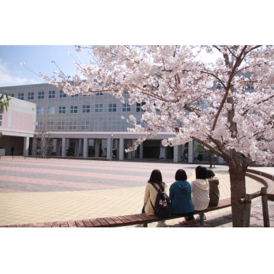 【返礼品なし】大学支援事業(実践女子大学) 50,000円