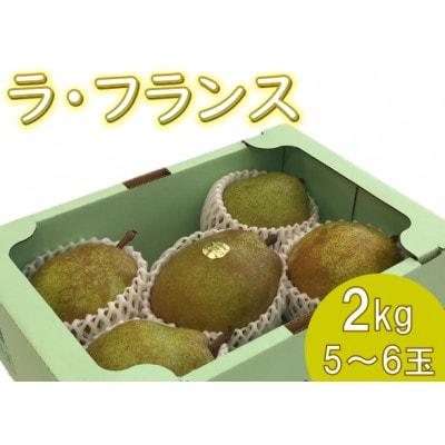 ラ・フランス　特秀　2kg(5玉～6玉)【果物/洋なし】