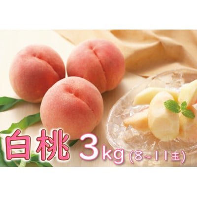 桃　3kg(8玉～11玉)　品種おまかせ　化粧箱 【果物/白桃】