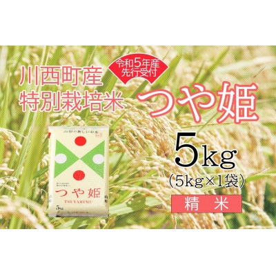 令和5年産　つや姫5kg　精米　真空パック詰