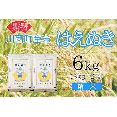 令和5年産　はえぬき6kg　精米　真空パック詰