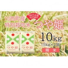 令和5年産　つや姫10kg　精米　真空パック詰