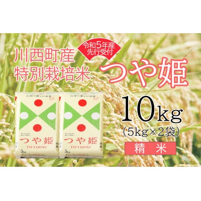 令和5年産　つや姫10kg　精米　真空パック詰