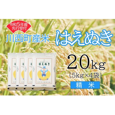 令和5年産　はえぬき20kg　精米　真空パック詰