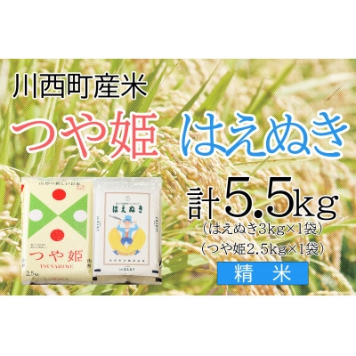 つや姫・はえぬき計5.5kg　精米セット　真空パック詰