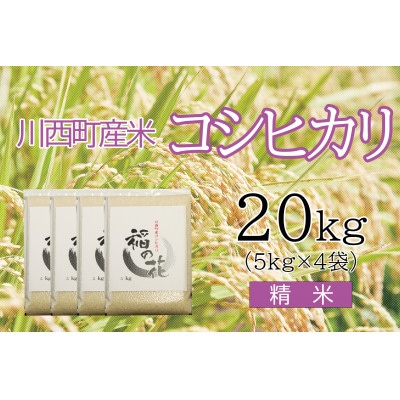 コシヒカリ20kg　精米　真空パック詰