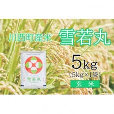 雪若丸5kg　玄米　真空パック詰