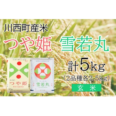 つや姫・雪若丸計5kg　玄米セット　真空パック詰