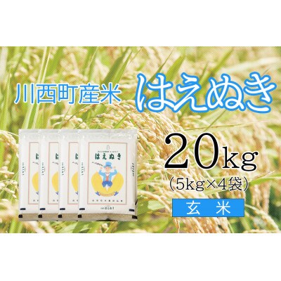 はえぬき20kg　玄米　真空パック詰