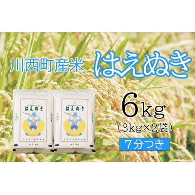 はえぬき6kg　7分つき　真空パック詰
