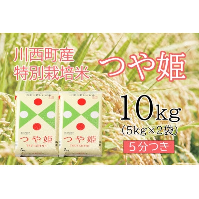 つや姫10kg　5分つき　真空パック詰