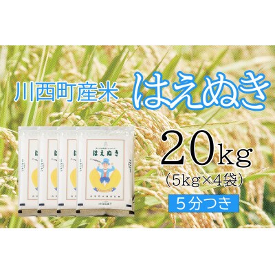 はえぬき20kg　5分つき　真空パック詰