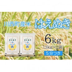 はえぬき6kg　5分つき　真空パック詰
