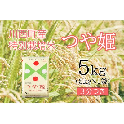 つや姫5kg　3分つき　真空パック詰