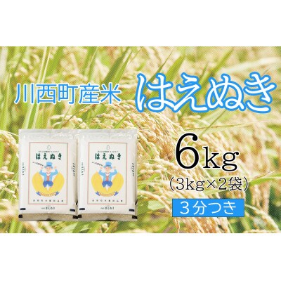 はえぬき6kg　3分つき　真空パック詰
