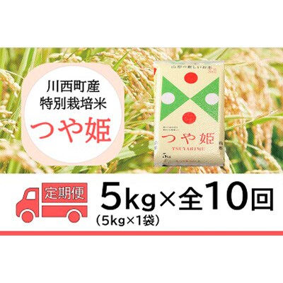 2024年2月発送開始『定期便』川西町産　特別栽培米「つや姫」精米5kg(5kg×1袋)全10回
