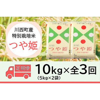 2024年6月発送開始『定期便』川西町産　特別栽培米「つや姫」精米10kg(5kg×2袋)全3回
