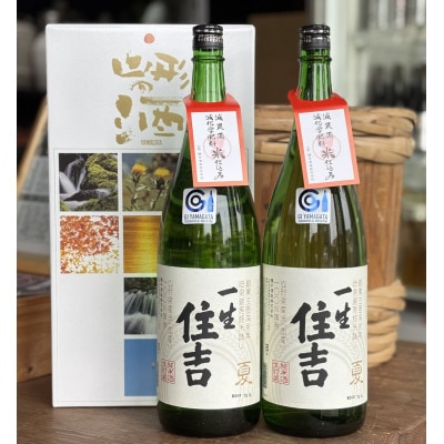 季節限定品「一生住吉　夏」2本セット