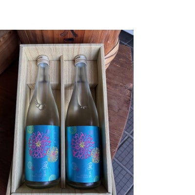 羽陽一献　夏酒　純米吟醸720ml　2本セット