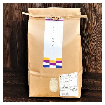 令和5年産ササシグレ精米10kg