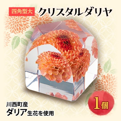 クリスタルダリヤ(四角型大)