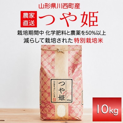 《先行予約》令和8年産　山形県産　つや姫　10kg