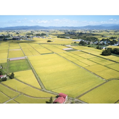 《先行予約》令和8年産　山形県産　雪若丸　4kg(2kg×2)