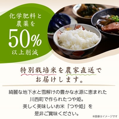令和7年産　山形県産　つや姫　5kg
