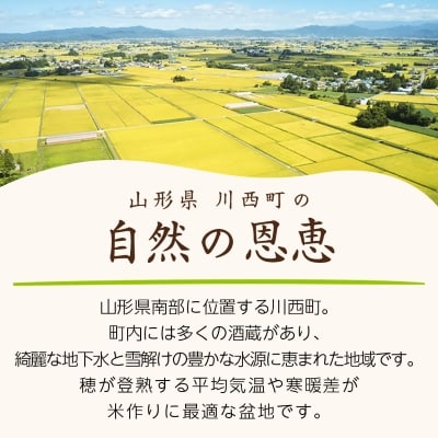 令和6年産　山形県産　雪若丸　10kg(5kg×2)