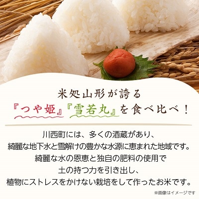 令和6年産　山形県産　つや姫・雪若丸　計4kg