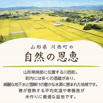 令和6年産　山形県産　つや姫・雪若丸　計4kg