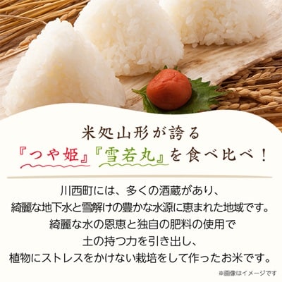 令和7年産　山形県産　つや姫・雪若丸　計10kg