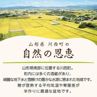 令和7年産　山形県産　つや姫・雪若丸　計10kg