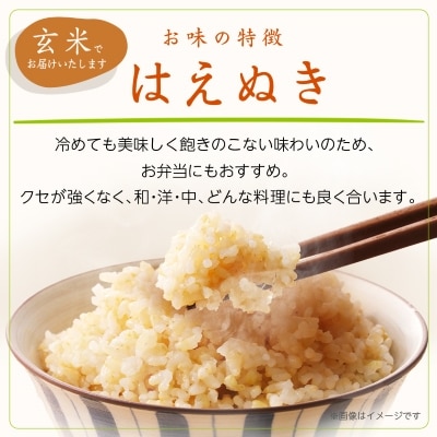 令和6年産　山形県産　はえぬき　玄米　10kg