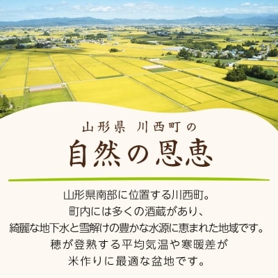 令和6年産　山形県産　はえぬき　玄米　10kg