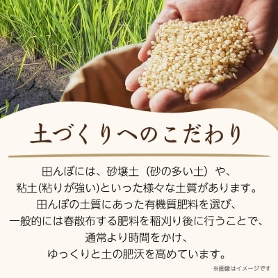 令和6年産　山形県産　はえぬき　玄米　10kg