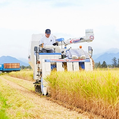 令和6年産　山形県産　雪若丸　4kg