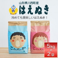 令和5年産　はえぬき　10kg | ふるさと納税のお礼品