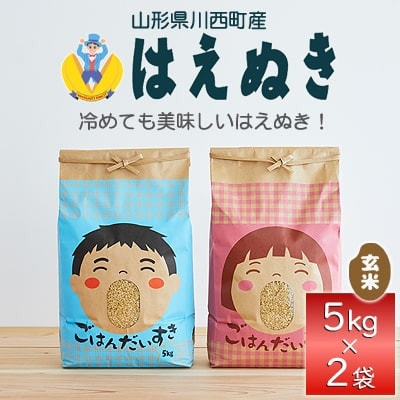令和6年産　山形県産　はえぬき　玄米　10kg