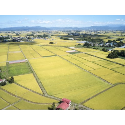 《先行予約》令和8年産　山形県産　つや姫　玄米　10kg(5kg×2)