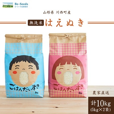 令和7年産　はえぬき10kg(5kg×2袋)【無洗米】