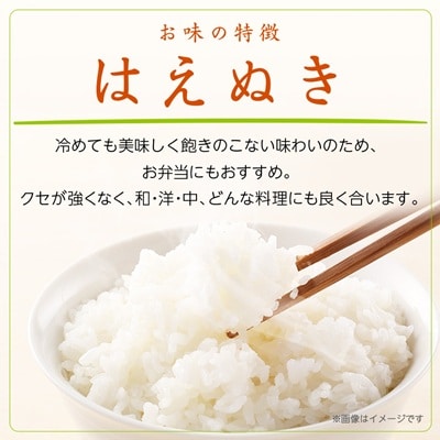 令和7年産　はえぬき10kg(5kg×2袋)【無洗米】