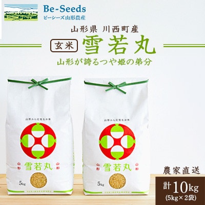 《先行受付》令和7年産　山形県産　雪若丸　玄米　10kg(5kg×2袋)